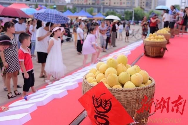 洪江市禹甜科技有限公司,黔陽瞐農產品的批發(fā)零售 洪江市禹甜科技有限公司,黔陽瞐農產品的批發(fā)零售