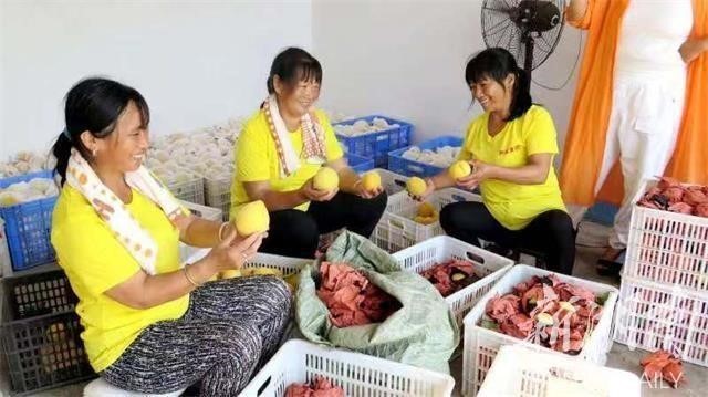 洪江市禹甜科技有限公司,黔陽瞐農產品的批發(fā)零售 洪江市禹甜科技有限公司,黔陽瞐農產品的批發(fā)零售